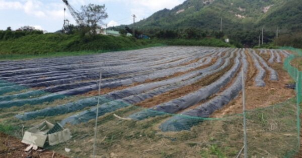 경상남도 함양군 지곡면 보산리 OOOOOO O OOO 전 경매 물건 이미지