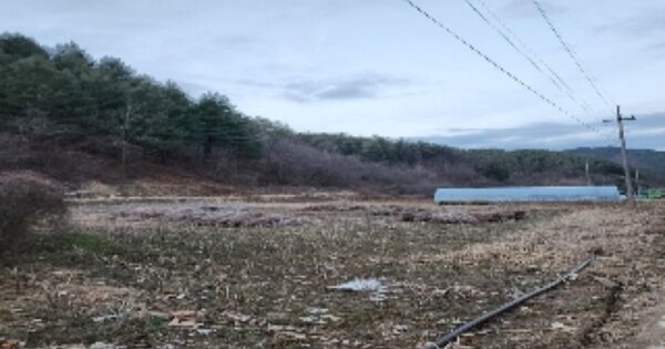 충청북도 영동군 학산면 도덕리 OOOOO 답 경매 물건 이미지