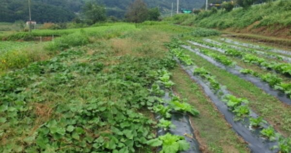 경상남도 거창군 마리면 말흘리 OO 전 경매 물건 이미지