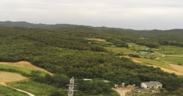 경상북도 구미시 산동면 봉산리 OOO 임야 경매 물건 이미지