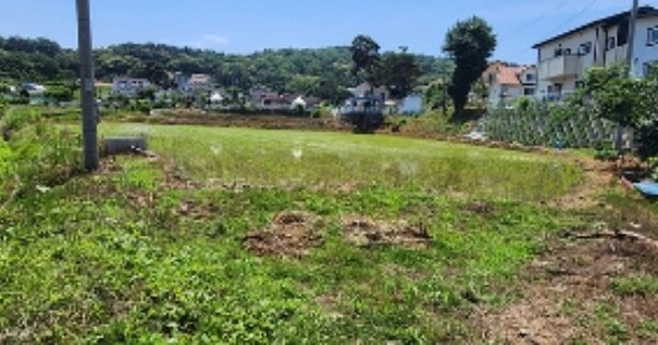 충청남도 보령시 웅천읍 관당리 OOO O OOO 전 경매 물건 이미지