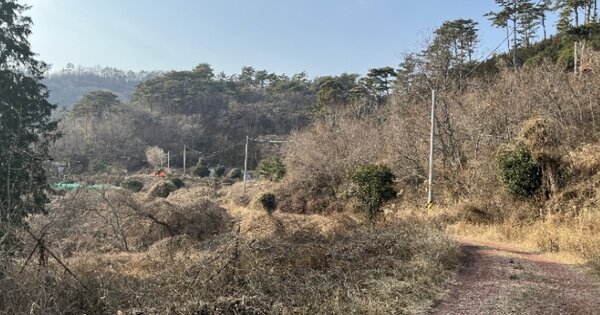 경상남도 거제시 연초면 천곡리 OOOOO 전 경매 물건 이미지