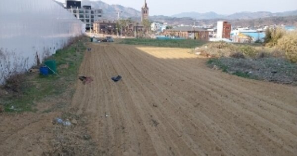 충청남도 공주시 유구읍 석남리 OOOOO O OOO 임야 경매 물건 이미지
