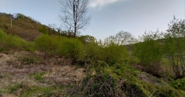 충청남도 청양군 정산면 신덕리 OOO 답 경매 물건 이미지