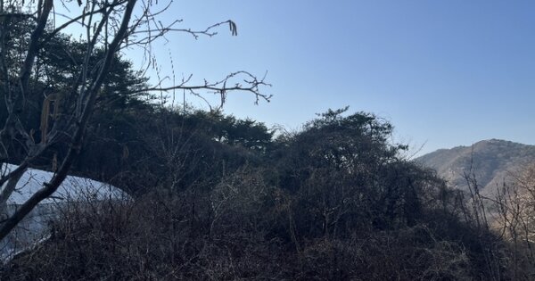 경상남도 고성군 영현면 연화리 OOOOO 답 경매 물건 이미지