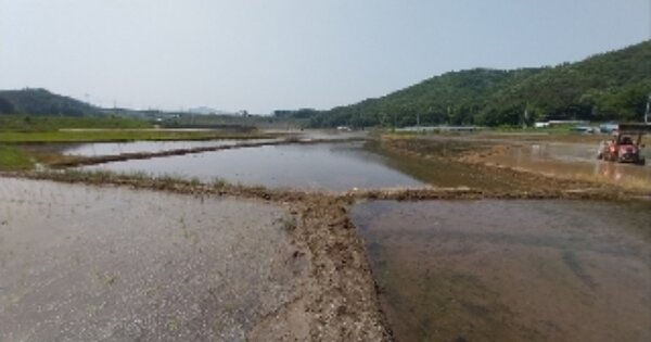 충청남도 공주시 봉정동 OOO O OOO 답 경매 물건 이미지