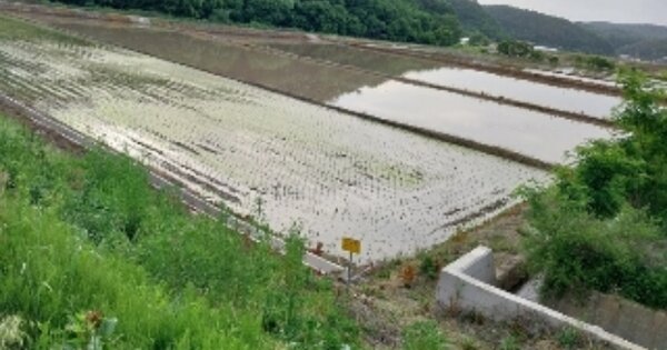 충청남도 청양군 청양읍 학당리 OOOOO O OOO 답 경매 물건 이미지
