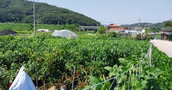 충청남도 공주시 우성면 방흥리 OOOO 전 경매 물건 이미지
