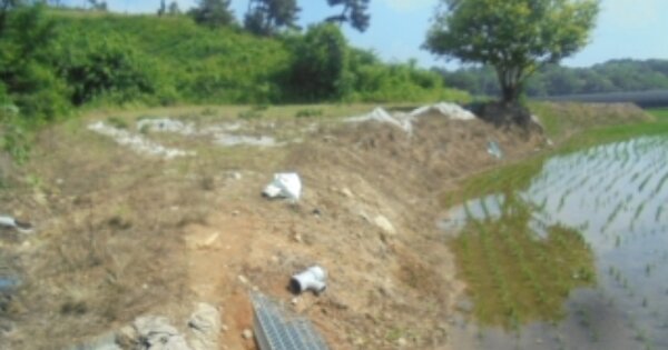 충청남도 계룡시 엄사면 도곡리 OOO 전 경매 물건 이미지