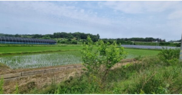 전라북도 군산시 성산면 창오리 OOOOOO 답 경매 물건 이미지