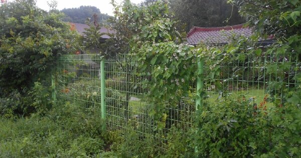 전라북도 익산시 여산면 여산리 OOOOO 대지 경매 물건 이미지