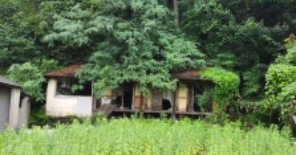 경상남도 고성군 마암면 삼락리 OO O OOO 대지 경매 물건 이미지