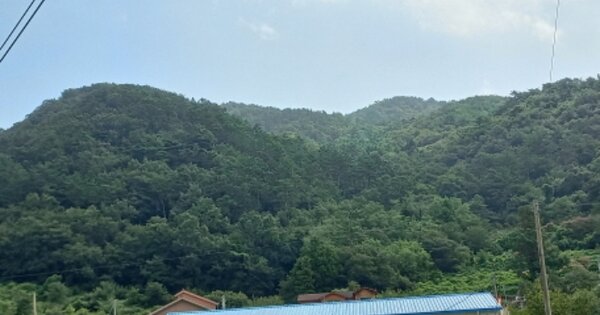 경남 거제시 고현동 OOOOOOOO OOOO OOOOOOOOOOO O OOO 임야 경매 물건 이미지