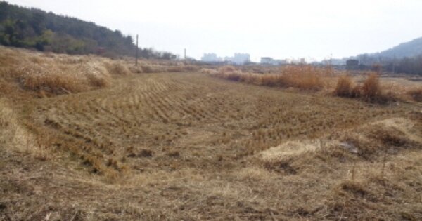 경상남도 사천시 죽림동 OOOOO 답 경매 물건 이미지