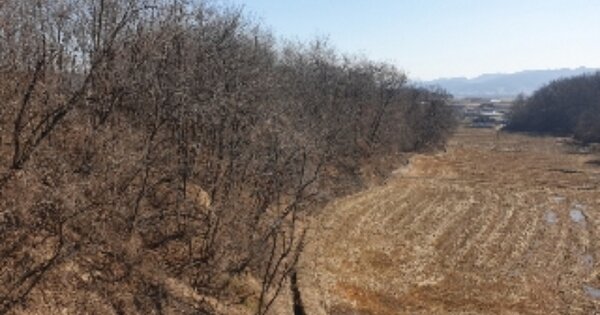 충청북도 충주시 주덕읍 당우리 OOOOO 임야 경매 물건 이미지