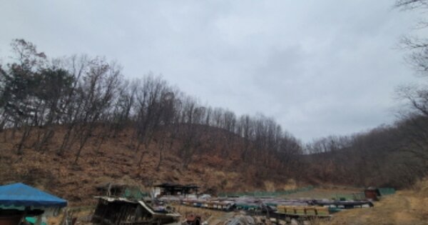 경상북도 포항시 북구 용흥동 OOOOO 임야 경매 물건 이미지