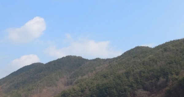 경상남도 산청군 생초면 노은리 OOO 임야 경매 물건 이미지