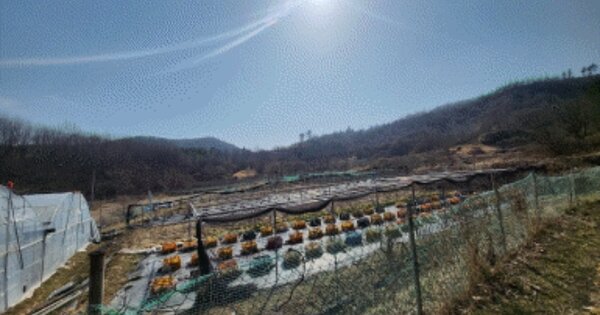 전라북도 완주군 구이면 항가리 OOOO 임야 경매 물건 이미지