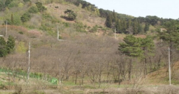 경상남도 하동군 양보면 감당리 OOOOO O OOO 전 경매 물건 이미지