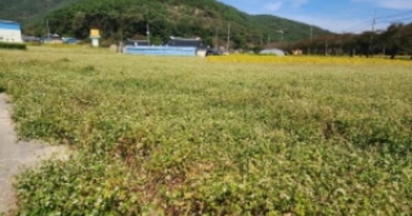 전라북도 부안군 상서면 청림리 OOOOO 전 경매 물건 이미지