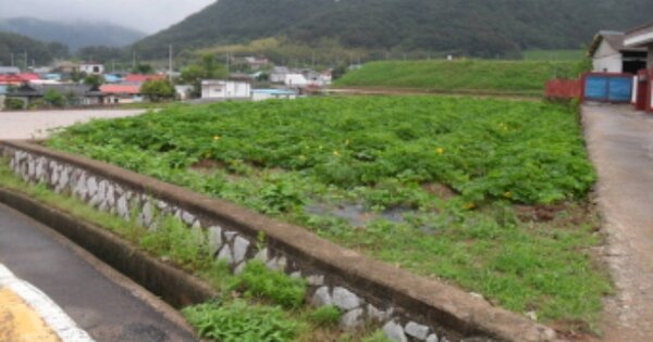 경상남도 남해군 이동면 난음리 OOOOOO 답 경매 물건 이미지