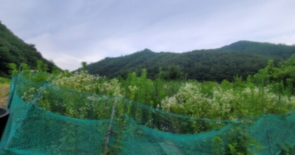 경상북도 포항시 북구 죽장면 침곡리 OOOOO 전 경매 물건 이미지
