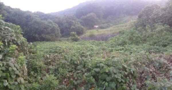 전라북도 완주군 비봉면 백도리 OOOOOO O OOO 전 경매 물건 이미지