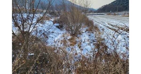 충청북도 괴산군 장연면 송덕리 OOOOO 답 경매 물건 이미지