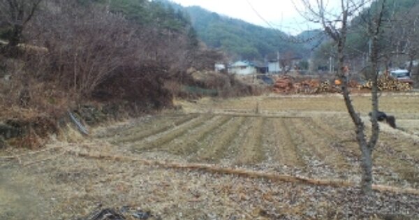 강원도 홍천군 화촌면 장평리 OOOOO O OOO 단독주택 경매 물건 이미지