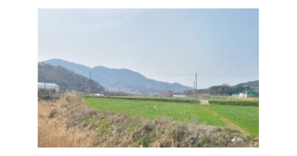전라남도 영암군 금정면 용흥리 OOOOO 답 경매 물건 이미지