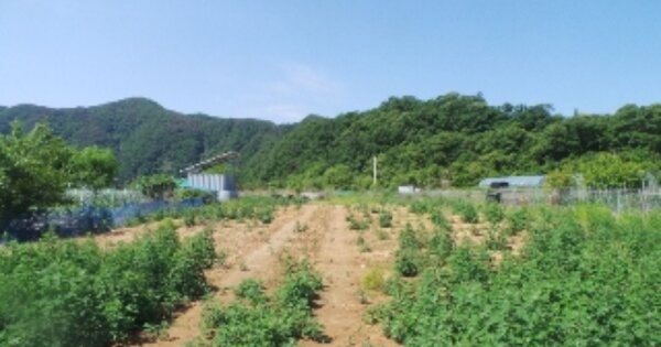 강원도 홍천군 북방면 소매곡리 OOO 전 경매 물건 이미지