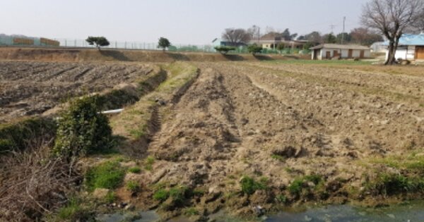충청남도 당진시 신평면 운정리 OOO O OOO 전 경매 물건 이미지