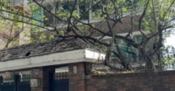서울특별시 용산구 효창동 OOOOO 다가구주택 경매 물건 이미지