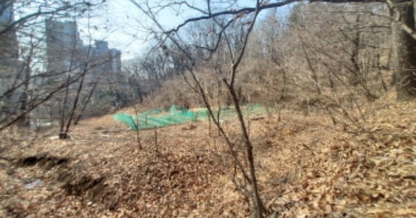 경기도 용인시 수지구 신봉동 OOO 답 경매 물건 이미지