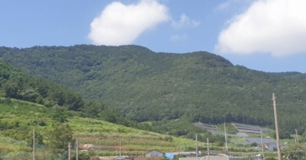 전라남도 여수시 돌산읍 금성리 OOOOOO 임야 경매 물건 이미지