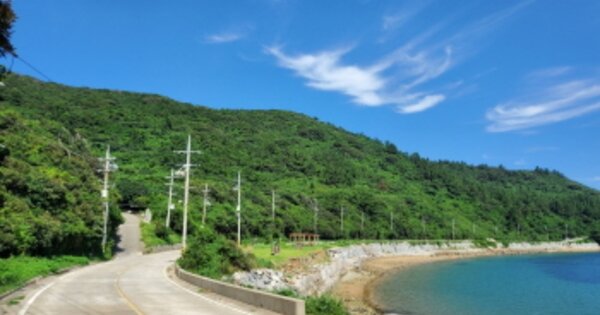 전라남도 여수시 삼산면 서도리 OOOOOO 임야 경매 물건 이미지