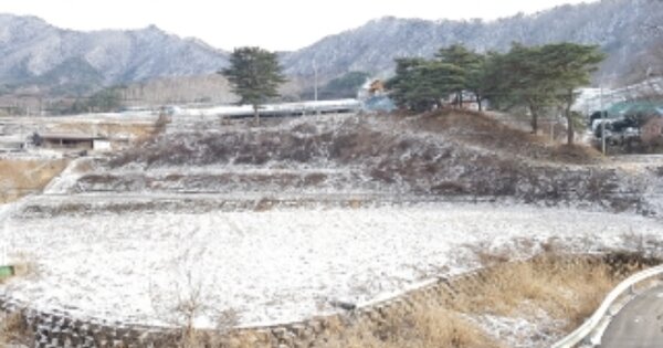 강원특별자치도 양구군 국토정중앙면 심포리 OOO 답 경매 물건 이미지