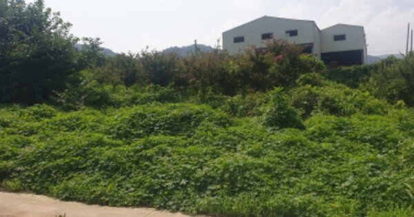 전라남도 구례군 구례읍 원방리 OOO 전 경매 물건 이미지