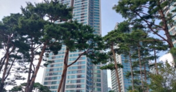 서울 용산구 용산동5가 OOO OOO OOOOOOOOO OOOOOOOOOOOO O OOO 아파트 경매 물건 이미지