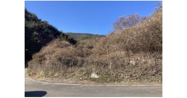 충청북도 보은군 속리산면 도화리 OOO 전 경매 물건 이미지
