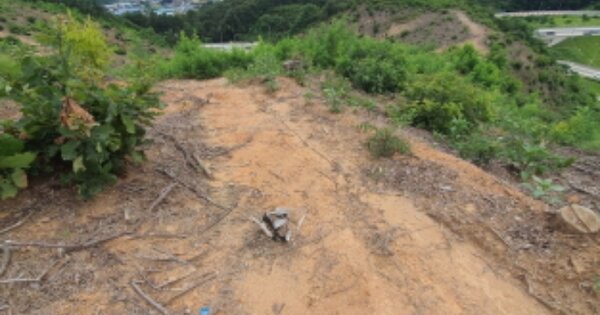 경기도 광주시 곤지암읍 건업리 OOOOO O OOO 도로 경매 물건 이미지