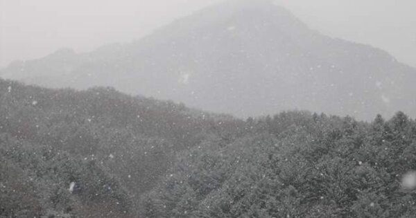 경상북도 문경시 문경읍 당포리 OOO 임야 경매 물건 이미지