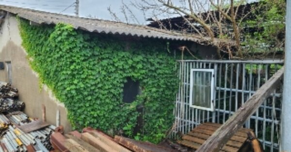 전라남도 곡성군 입면 송전리 OOOOOOO O OOO 대지 경매 물건 이미지