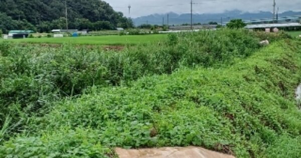 전라남도 담양군 고서면 보촌리 OOOOOO 전 경매 물건 이미지