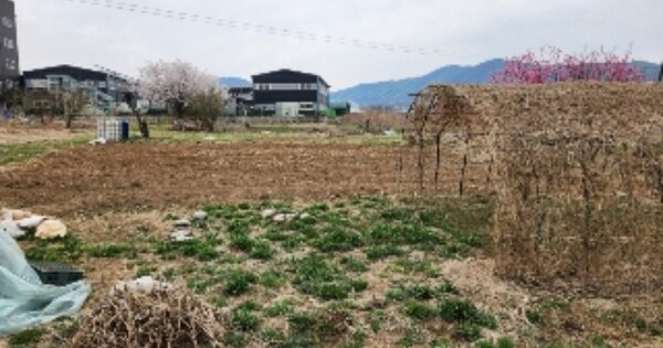 경기도 양주시 백석읍 가업리 OOOOO O OOO 전 경매 물건 이미지