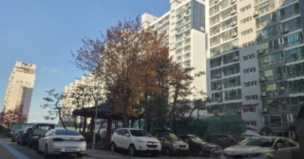 광주 서구 치평동 1168-1, 제115동 OOOO OOOOOO OOOOOOOOOOO 아파트 경매 물건 이미지