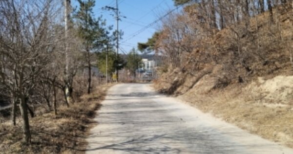 경상북도 영주시 상망동 OO O OOO 임야 경매 물건 이미지