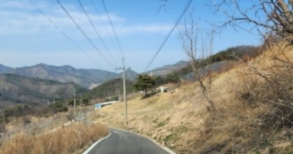 경상북도 안동시 길안면 현하리 OOOOOOO 임야 경매 물건 이미지