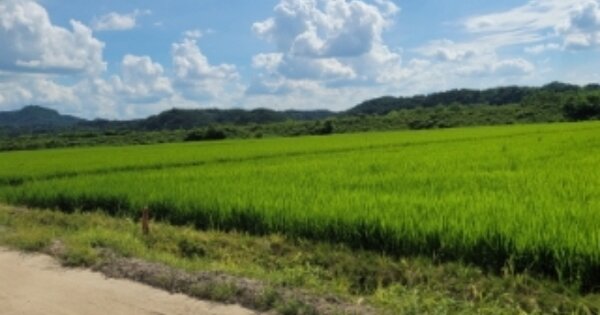 경상북도 영주시 이산면 신암리 OOOOO 답 경매 물건 이미지