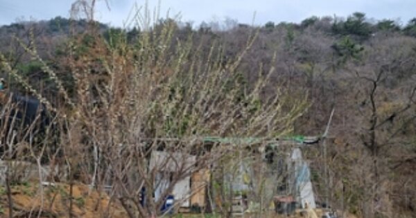 경상남도 창원시 의창구 동읍 용전리 OOO 임야 경매 물건 이미지